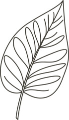 Fototapeta premium Simple Leaf with Veins Outline - AI Generative 