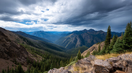 Obraz premium Mountain view above clouds flowers and blooming bushes at sunset sunbeams. Calm close-up beautiful landscape, screensaver background, Beautiful panorama. Summer vacation, holiday, amazing nature.