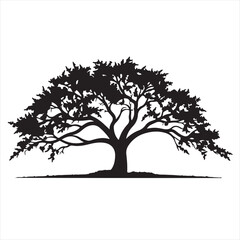 Oak Tree Silhouette