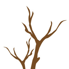 Fototapeta premium Twig