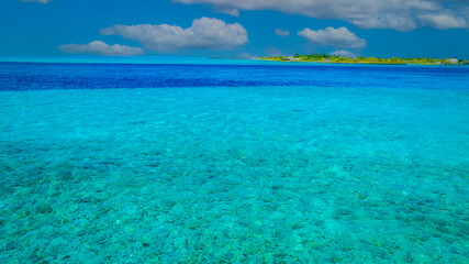 The summer vacation with the island background with Nature on the beach and sea ocean  blue water  summer  barrier reef