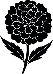 Black and White Marigold Flower Silhouette