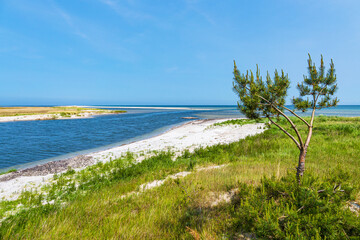 Ostseeküste am ehemaligen Nothafen Prerow auf dem Fischland-Darß