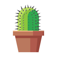 cactus in flowerpot vector image