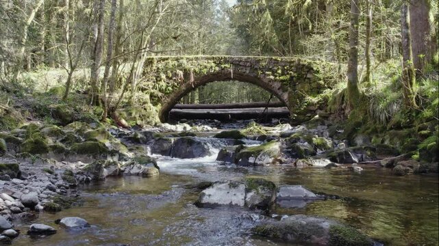 drone flying low over Ognon river with old stone bridge and waterfalls in pine tree forest in Vosges