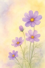 Fototapeta premium Delicate cosmos flowers in lavender tones on a soft pastel background. 