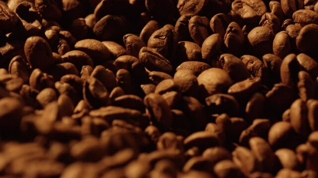 Warm light illuminates roasted coffee beans moving along a conveyor belt, suggesting the process of coffee production inside a factory or roastery