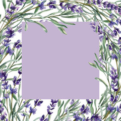 Violet filed flowers banner template with lavender branches and leaves watercolor illustration. Hand drawn romantic frame with aromatic floral elements for label, invitation, product packing design
