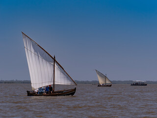 Latin sailing competition held on June 7, 2025 in the Albufera Natural Park of Valencia (Spain)