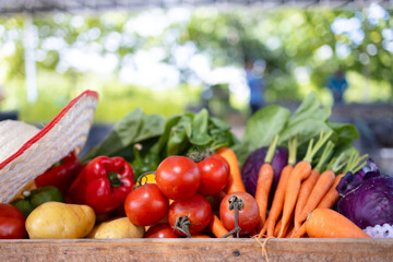 A variety of colorful vegetables such as tomatoes, carrots, bell peppers, and cabbage are arranged in wooden box