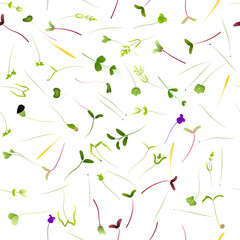 Seamless pattern of microgreens on a white background
