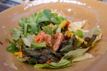 Fresh Mixed Green Salad with Salmon