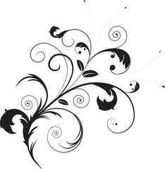 Vector illlustrations