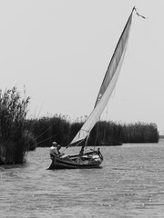 Latin sailing competition held on June 7, 2025 in the Albufera Natural Park of Valencia (Spain)