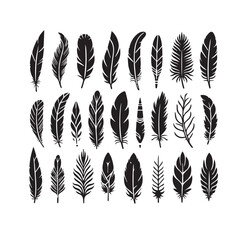 Bird Feather Silhouettes Vector  Black Plumelet Collection Isolated on White

