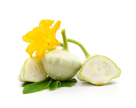 Patison with a flower and leaves.