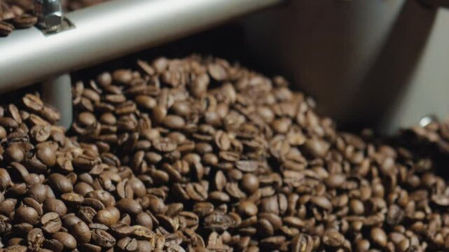 Industrial coffee roaster rotating roasted brown beans, revealing detailed production process inside manufacturing equipment with warm, dark texture