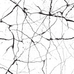 Vector illlustrations