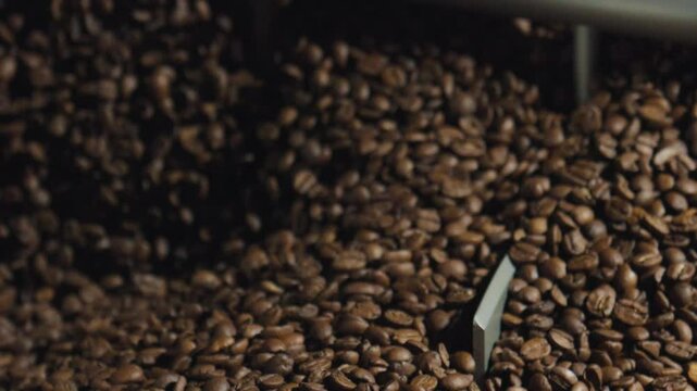 Professional coffee roasting process showing industrial mixing of freshly roasted brown beans, ensuring uniform cooling and maintaining premium quality standards for premium beverage production