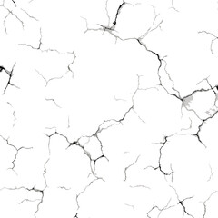 Vector illlustrations