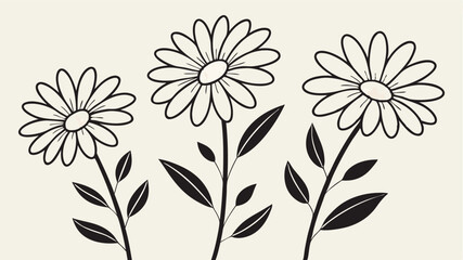Hand drawn black and white daisy flowers on a white background vector illustration