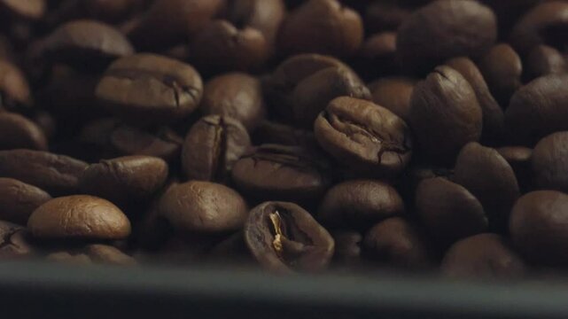 Professional coffee roaster rotating warm roasted coffee beans, revealing rich texture and deep brown color of arabica seeds during roasting process