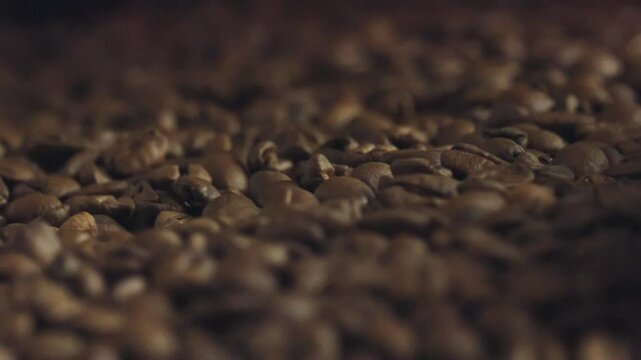 Professional coffee roaster slowly rotating warm roasted coffee beans, revealing rich brown texture and color of high quality coffee seeds during roasting process
