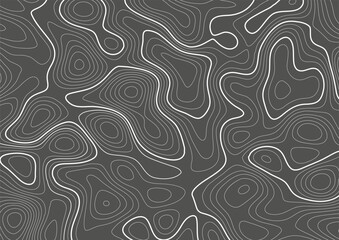 Vector illlustrations