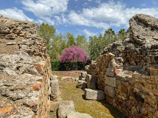 Anfiteatro romano de Mérida, ruinas arqueológicas en Extremadura
