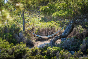 hammock on the beach
