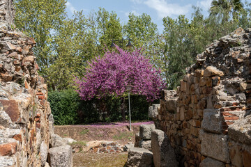 Anfiteatro romano de Mérida, ruinas arqueológicas en Extremadura