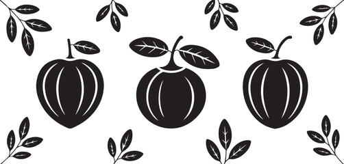 Black and White Illustration of Cacao Pods and Leaves