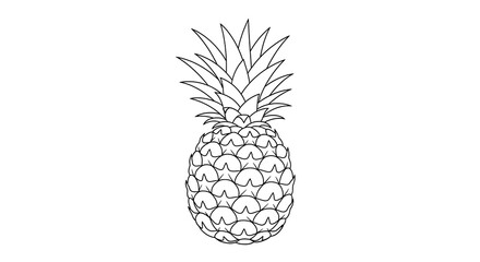 Pineapple outline drawing for coloring pages and educational resources for kids and adults on transparent background