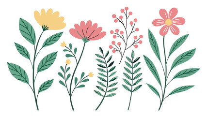 Hand drawn floral collection with various flowers leaves and berries vector illustration
