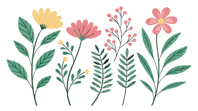 Hand drawn floral collection with various flowers leaves and berries vector illustration
