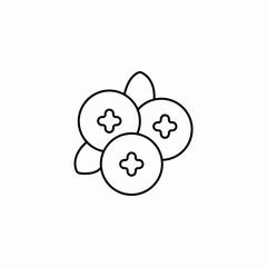three blueberries berries icon sign vector