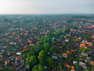 A breathtaking aerial view shows houses surrounded by greenery.