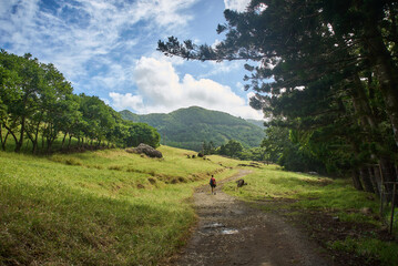 Beautiful European woman hiking in La Vallée de Ferney, Mauritius. Outdoor adventure in lush tropical forest with scenic mountain views. Active lifestyle and nature exploration.