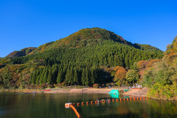 群馬県安中市 秋の碓氷湖