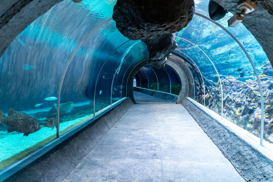 An empty tunnel under the giant aquarium in the Orientarium at the zoological garden in Lodz