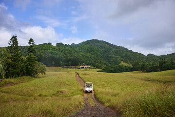 Peaceful, natural landscape featuring a rustic road winding through lush greenery. An ideal spot for a tranquil holiday getaway surrounded by nature’s beauty.