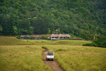 Peaceful, natural landscape featuring a rustic road winding through lush greenery. An ideal spot for a tranquil holiday getaway surrounded by nature’s beauty.