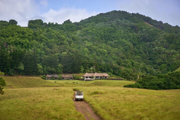 Peaceful, natural landscape featuring a rustic road winding through lush greenery. An ideal spot for a tranquil holiday getaway surrounded by nature’s beauty.