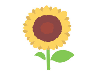 ヒマワリ 主線なし