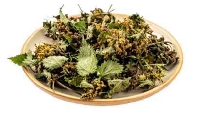 Dried nettle leaves on plate on transparent background