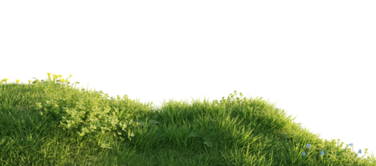 Verdant Hill Blooming with Yellow Flowers in Spring. 3D render.	
