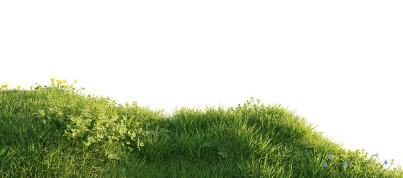 Verdant Hill Blooming with Yellow Flowers in Spring. 3D render.	
