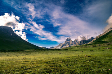 Mountain landscape with clouds. Panoramic view of Sonmarg, Kashmir valley in the Himalayan region. Serene meadows, alpine trees, wildflowers on the trails of The Great Lake of Kashmir Trek, 2022. 