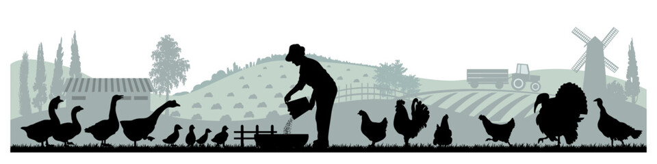 Domestic birds silhouettes on rural farm landscape background. Vector illustration.	
