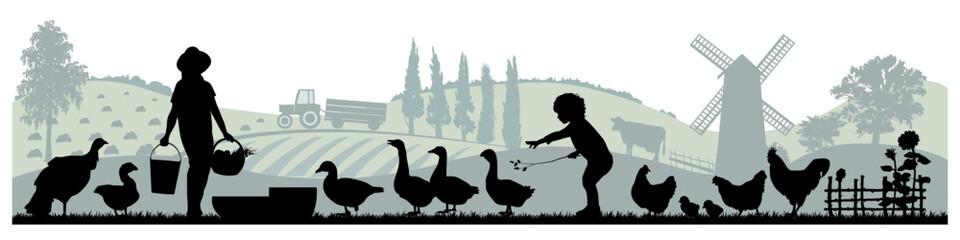 Domestic birds silhouettes on rural farm landscape background. Vector illustration.	
